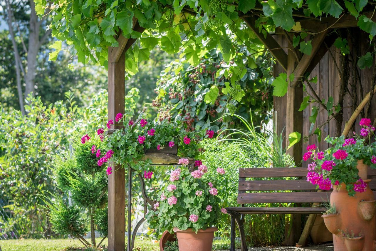 Pension Zum Ebenstein Am Donausteig Untergriesbach Kültér fotó
