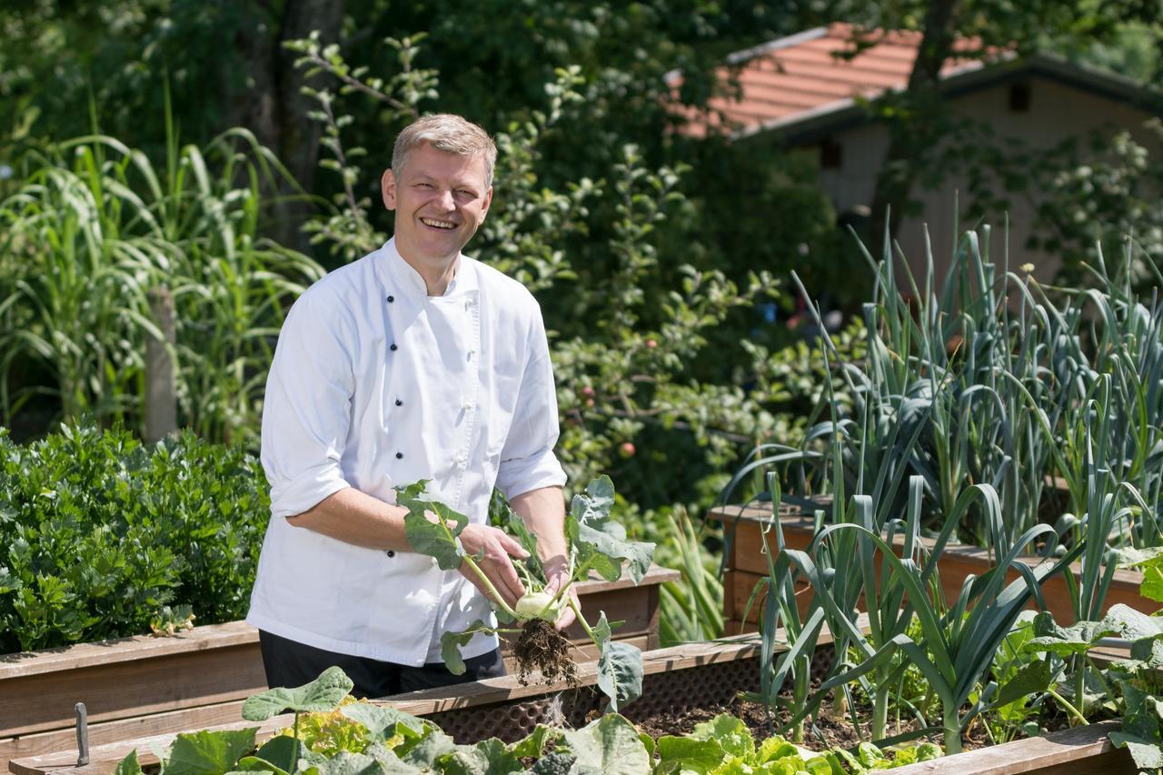 Pension Zum Ebenstein Am Donausteig Untergriesbach Kültér fotó